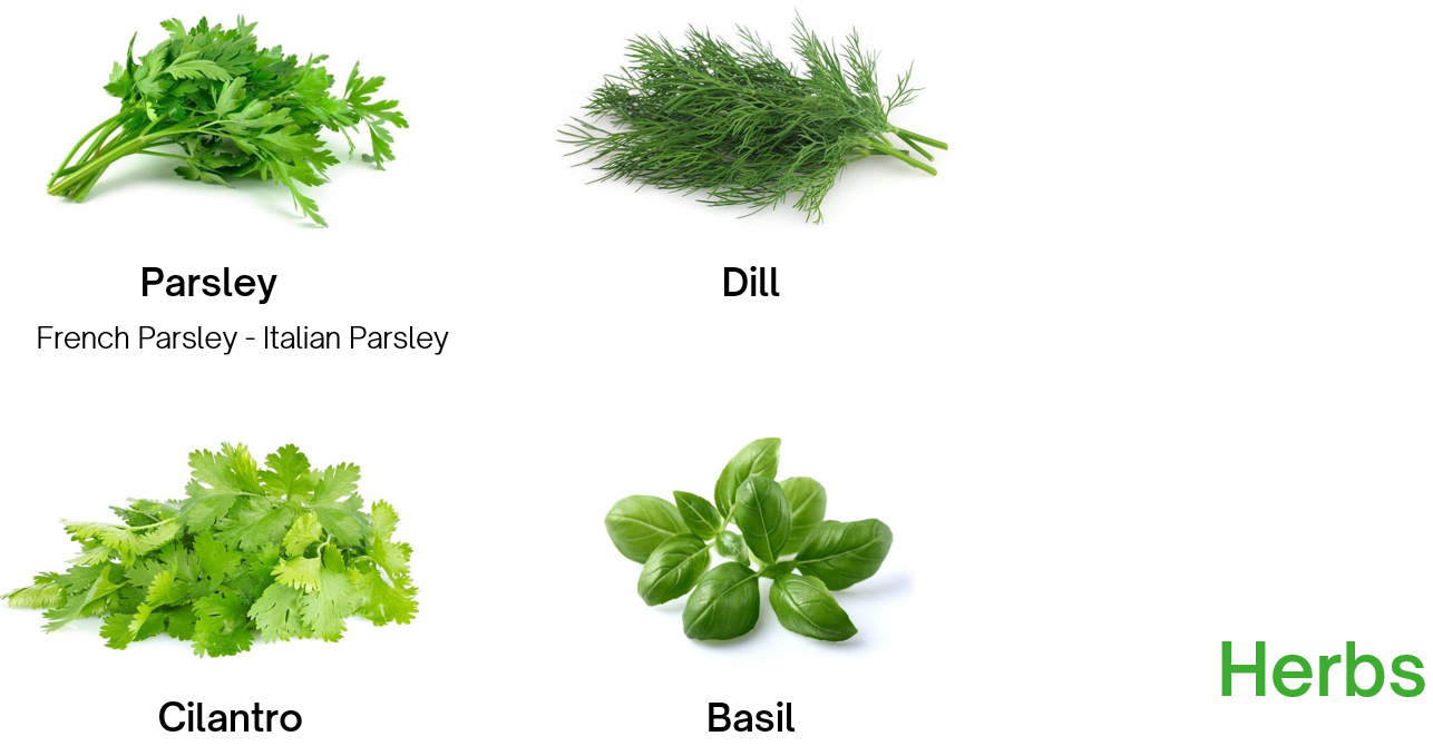 Herbs Texas Green Star